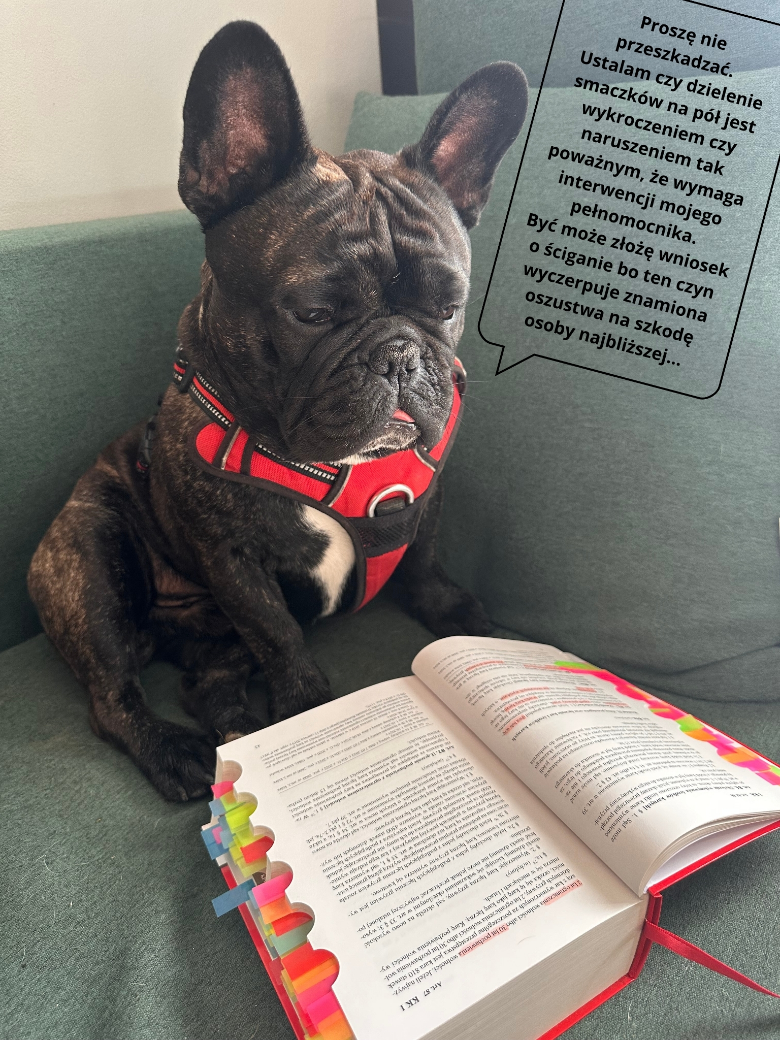 III miejsce-aplikant Katarzyna Kruszynawykroczenie.jpg